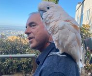 Titus Welliver Family - Father, Mother, Children and Ex-Wives